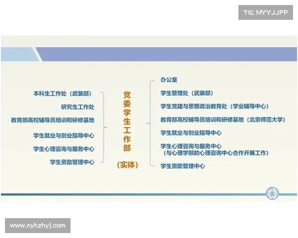 如何通过有效使用辅助光辉装备提升团队协作与战术执行力 如何通过有效使用辅助光辉装备提升团队协作与战术执行力
