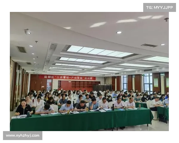 欧协杯决赛规则与完整赛事流程深度解析权威信息汇编指南全面版本