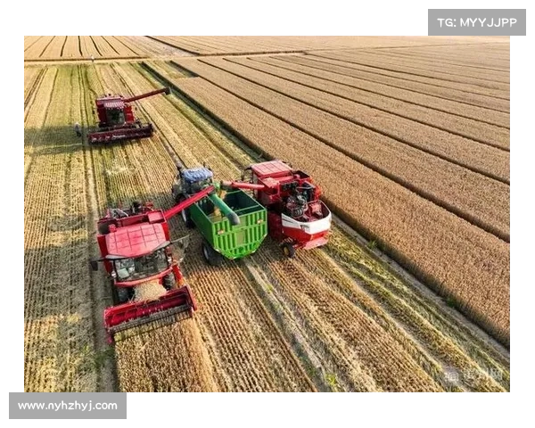 如何提升小麦国家队在国际比赛中的整体表现与竞争力